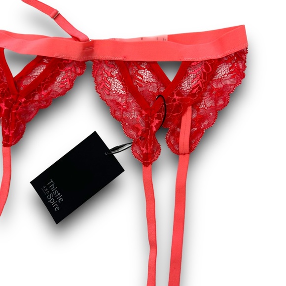 Thistle and Spire Kane Garter Belt with Removable Chocker - Picture 3 of 8